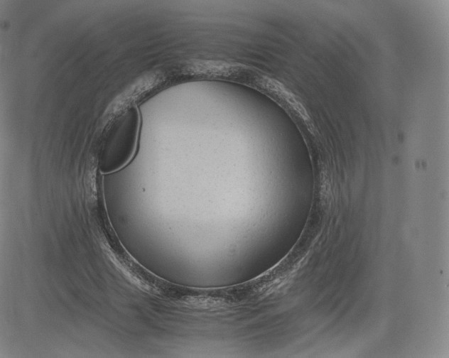 X0000083560633200702231604