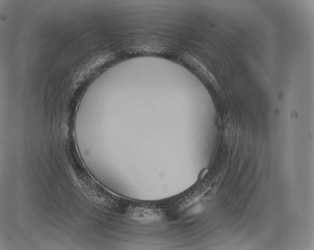 X0000083560635200702231605