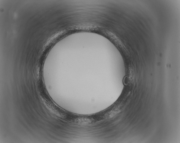 X0000083560636200702231605