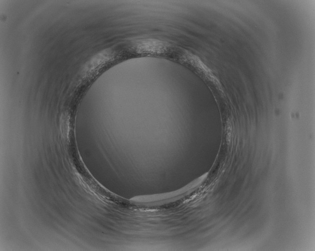 X0000083560637200702231605