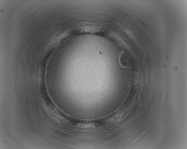 X0000083560639200702231605