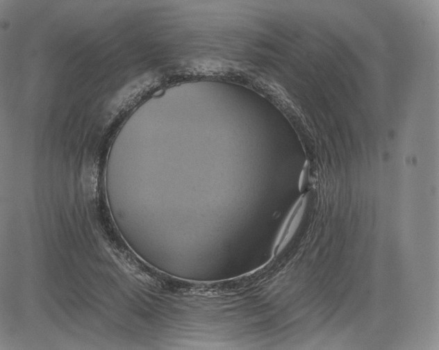 X0000083560640200702231605