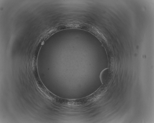 X0000083560641200702231605