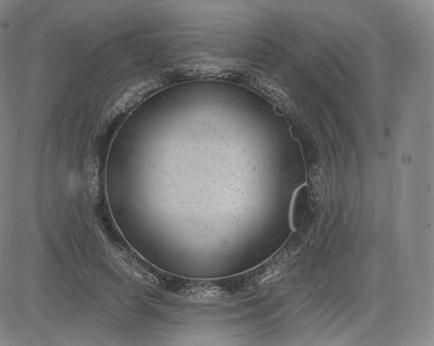 X0000083560642200702231605