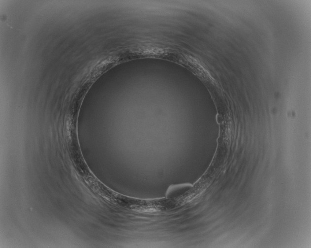 X0000083560643200702231605