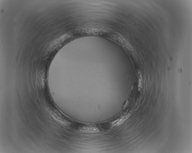 X0000083560644200702231605