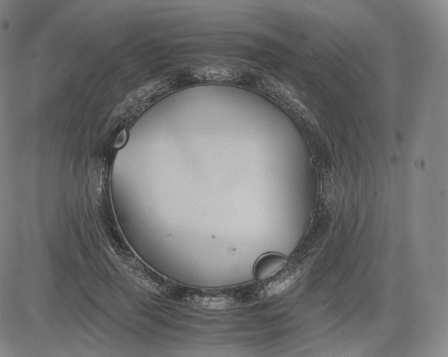 X0000083560645200702231605