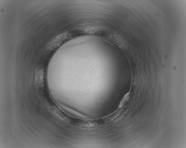 X0000083560646200702231605