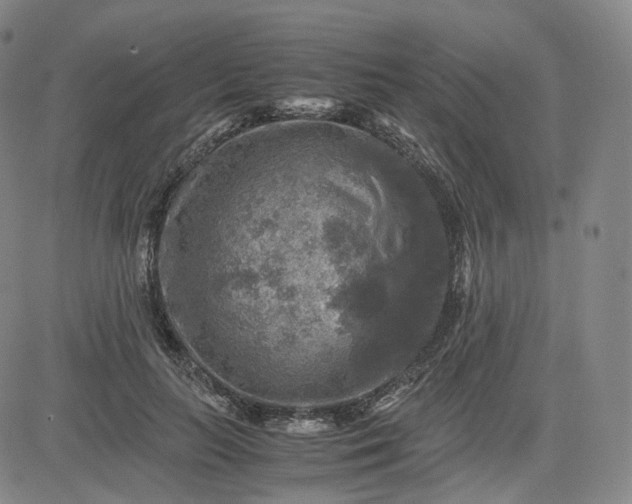 X0000083560647200702231605