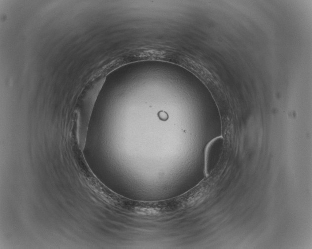 X0000083560649200702231605