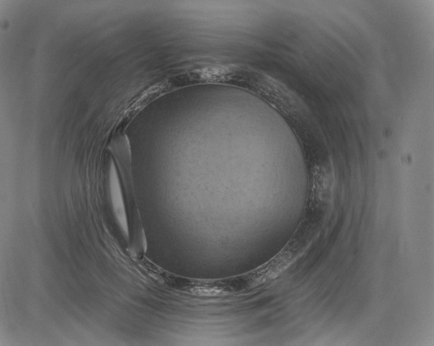 X0000083560650200702231605