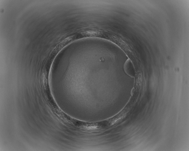 X0000083560651200702231605