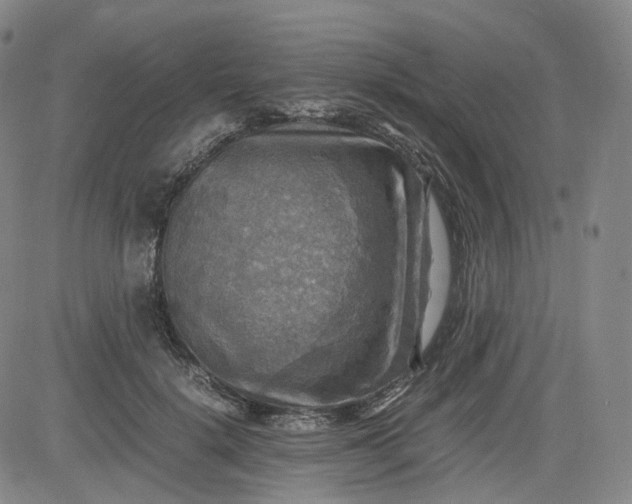 X0000083560652200702231605