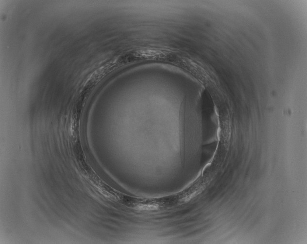 X0000083560653200702231605