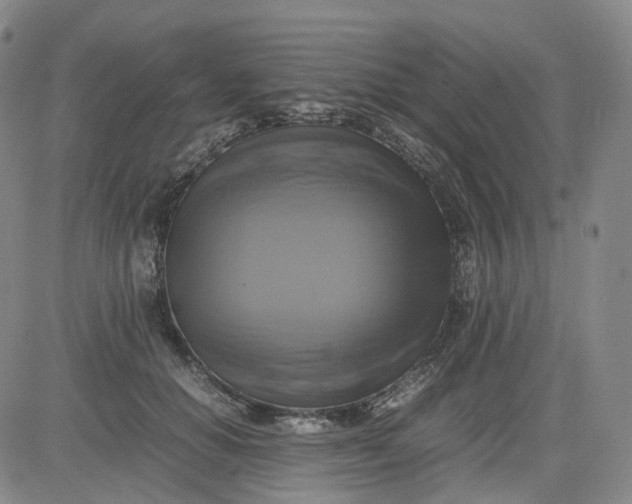 X0000083560654200702231605