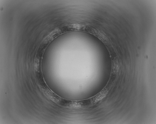 X0000083560656200702231605