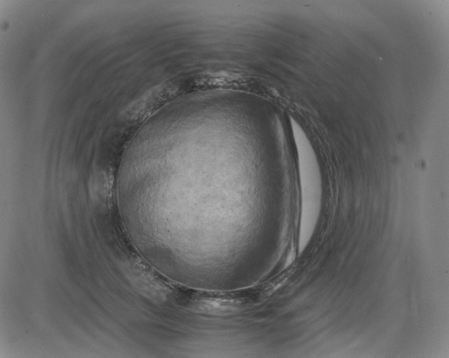 X0000083560657200702231605