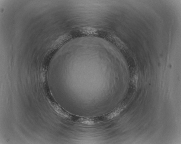 X0000083560658200702231605