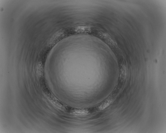 X0000083560659200702231605