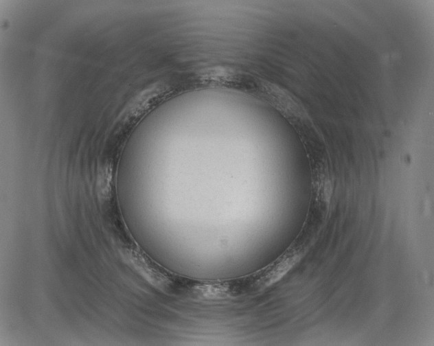 X0000083560660200702231605