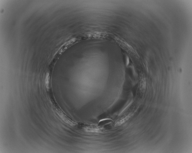 X0000083560661200702231605