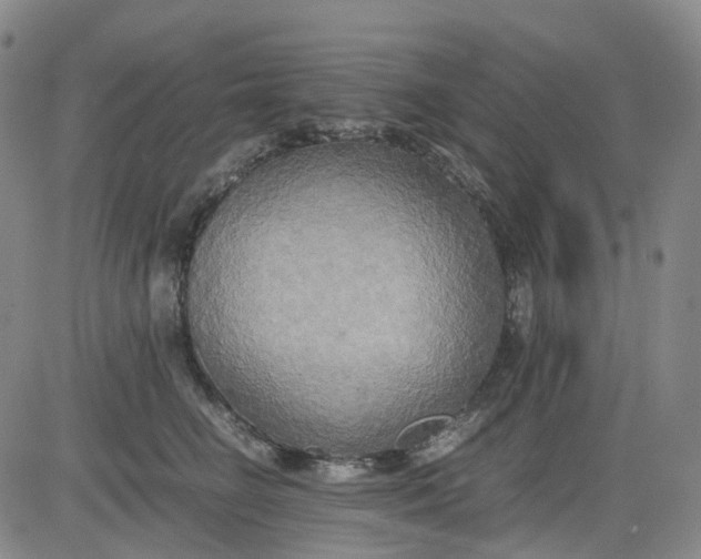 X0000083560662200702231605