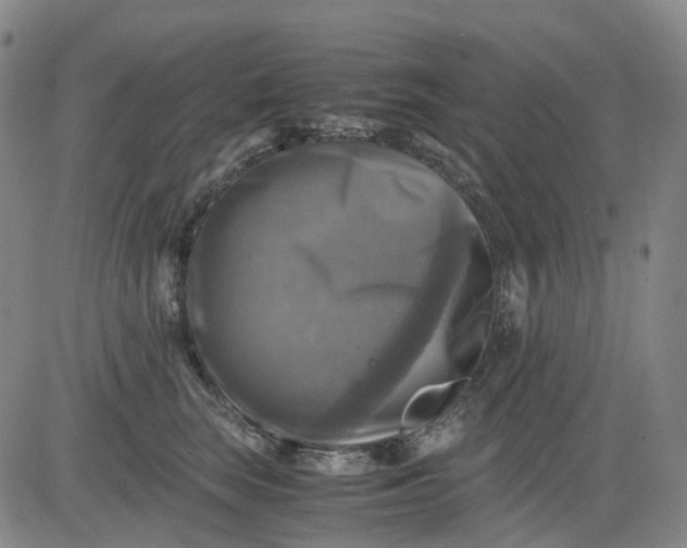 X0000083560663200702231605