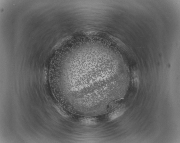 X0000083560664200702231605