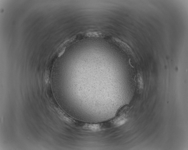 X0000083560665200702231605