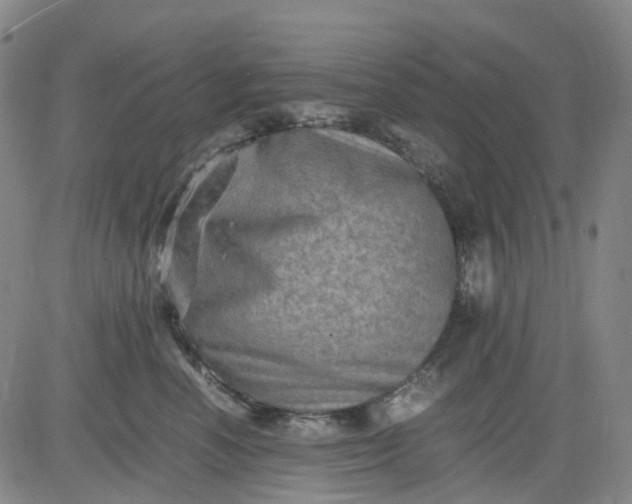 X0000083560666200702231605