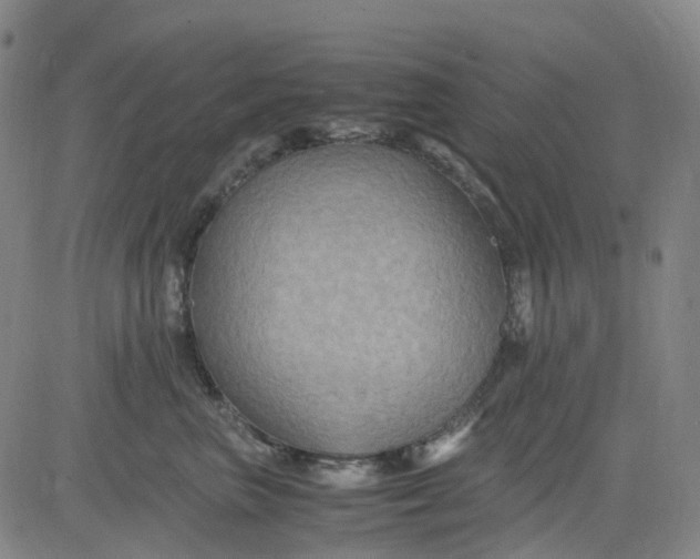 X0000083560667200702231605