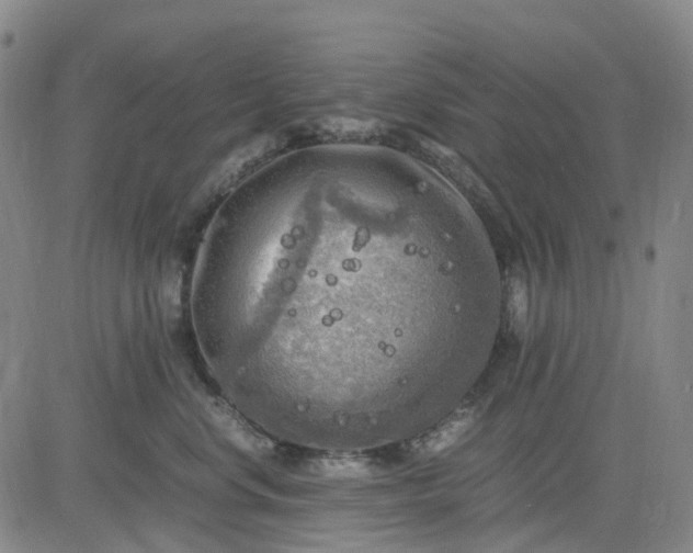 X0000083560668200702231605