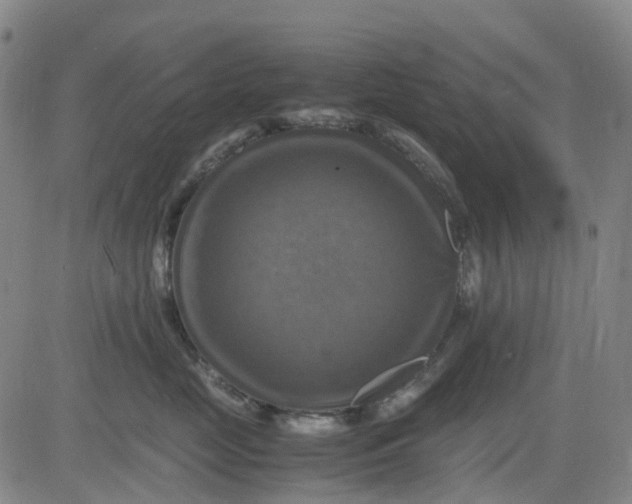 X0000083560669200702231605