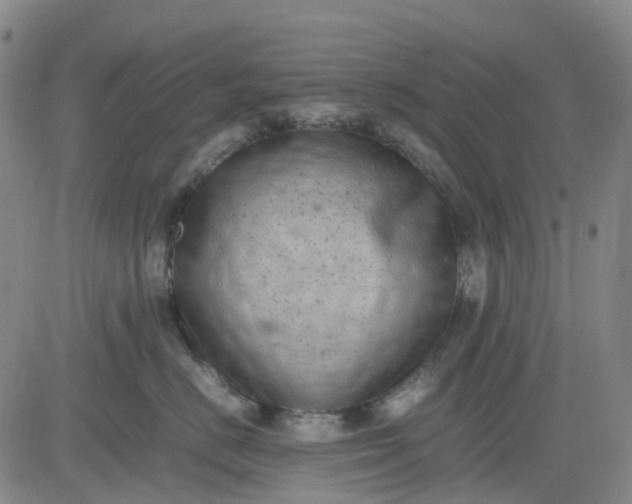 X0000083560670200702231605