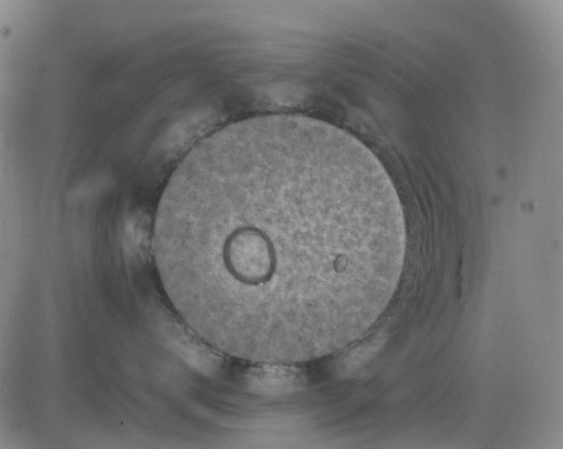 X0000083560672200702231605