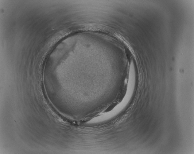 X0000083560673200702231604