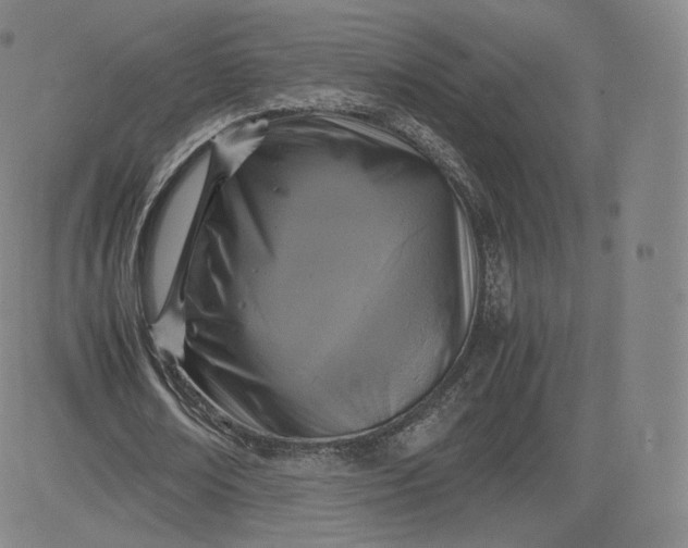 X0000083560674200702231604