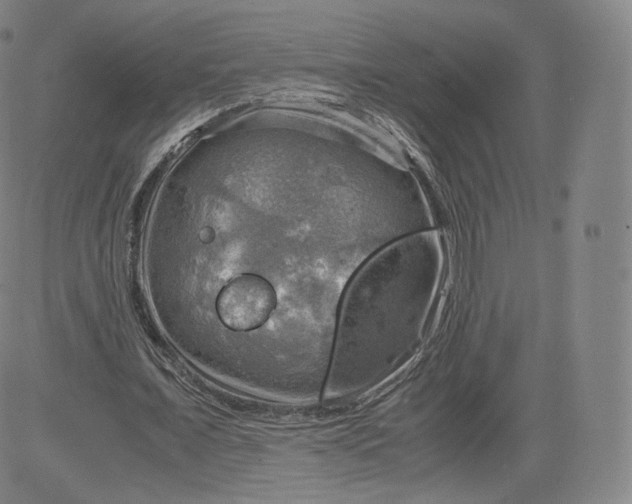 X0000083560675200702231604