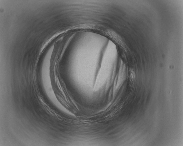 X0000083560676200702231604