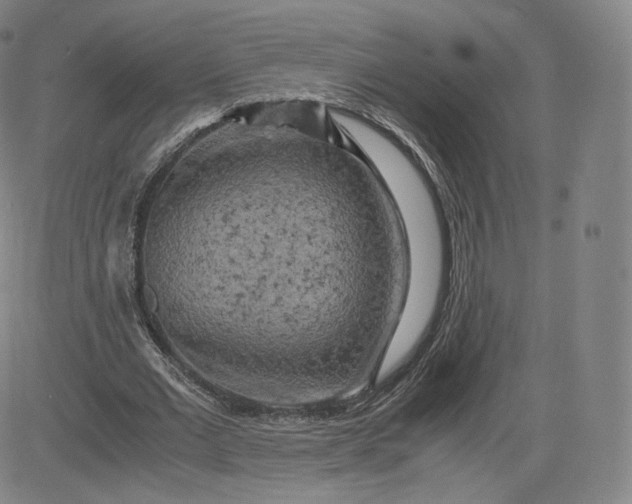 X0000083560677200702231604