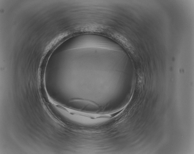 X0000083560678200702231604