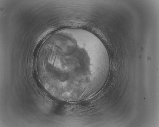 X0000083560679200702231604