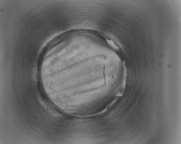 X0000083560680200702231604