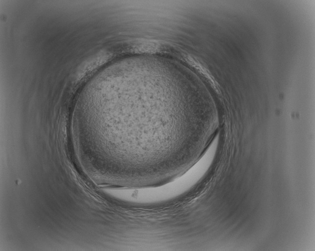 X0000083560681200702231604