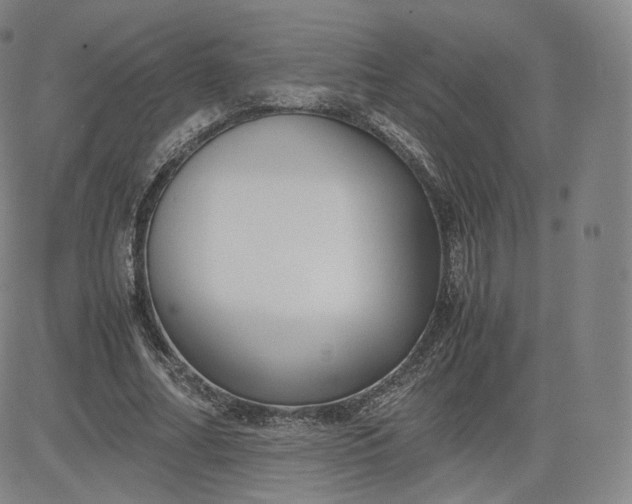 X0000083560682200702231604