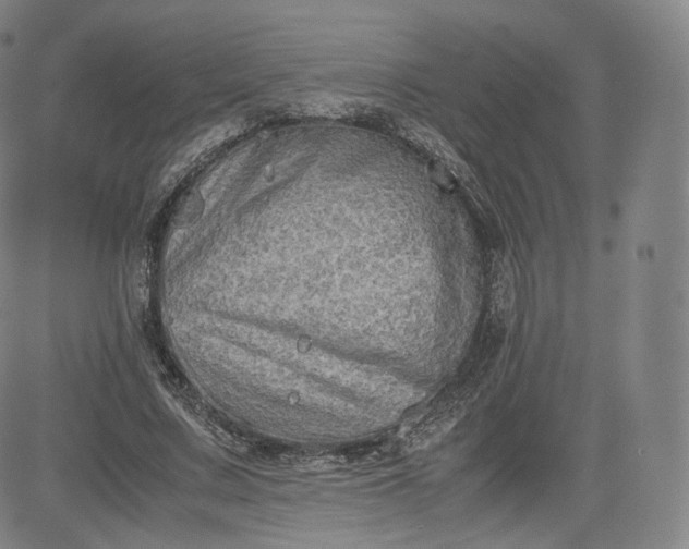 X0000083560683200702231604