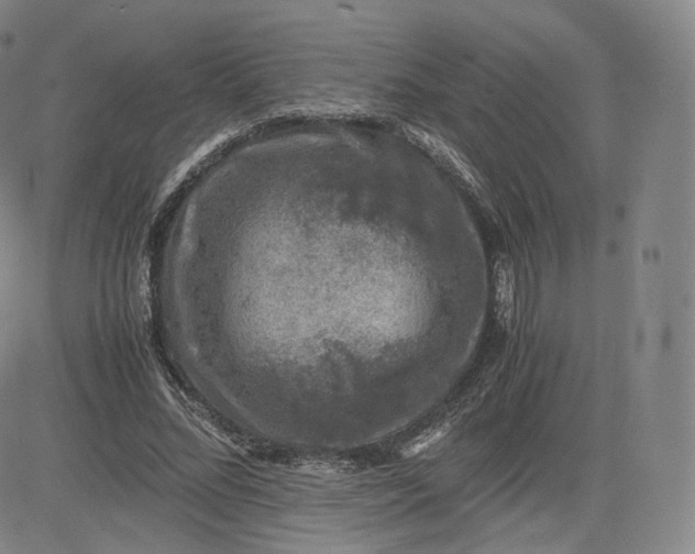 X0000083560684200702231604