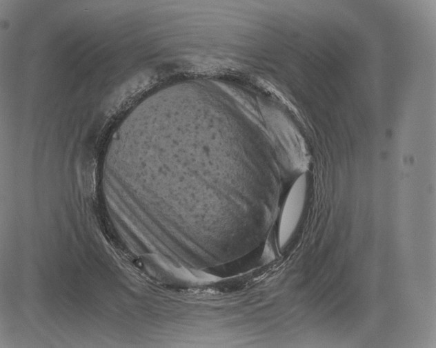 X0000083560685200702231604