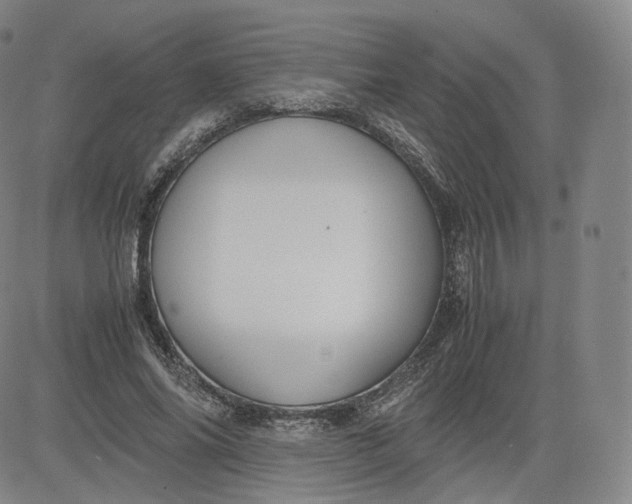 X0000083560686200702231604