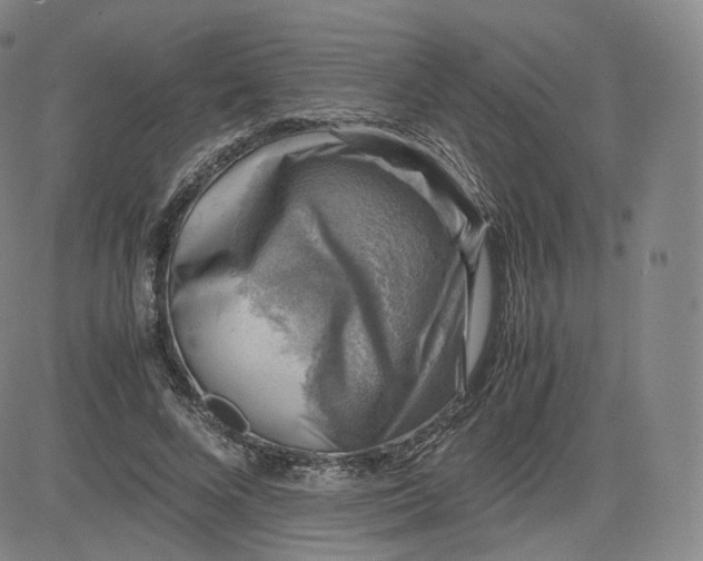 X0000083560688200702231604